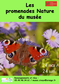 Peyronelle.jpg